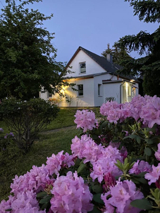 Gemuetliches Ferienhaus Spremberg Extérieur photo